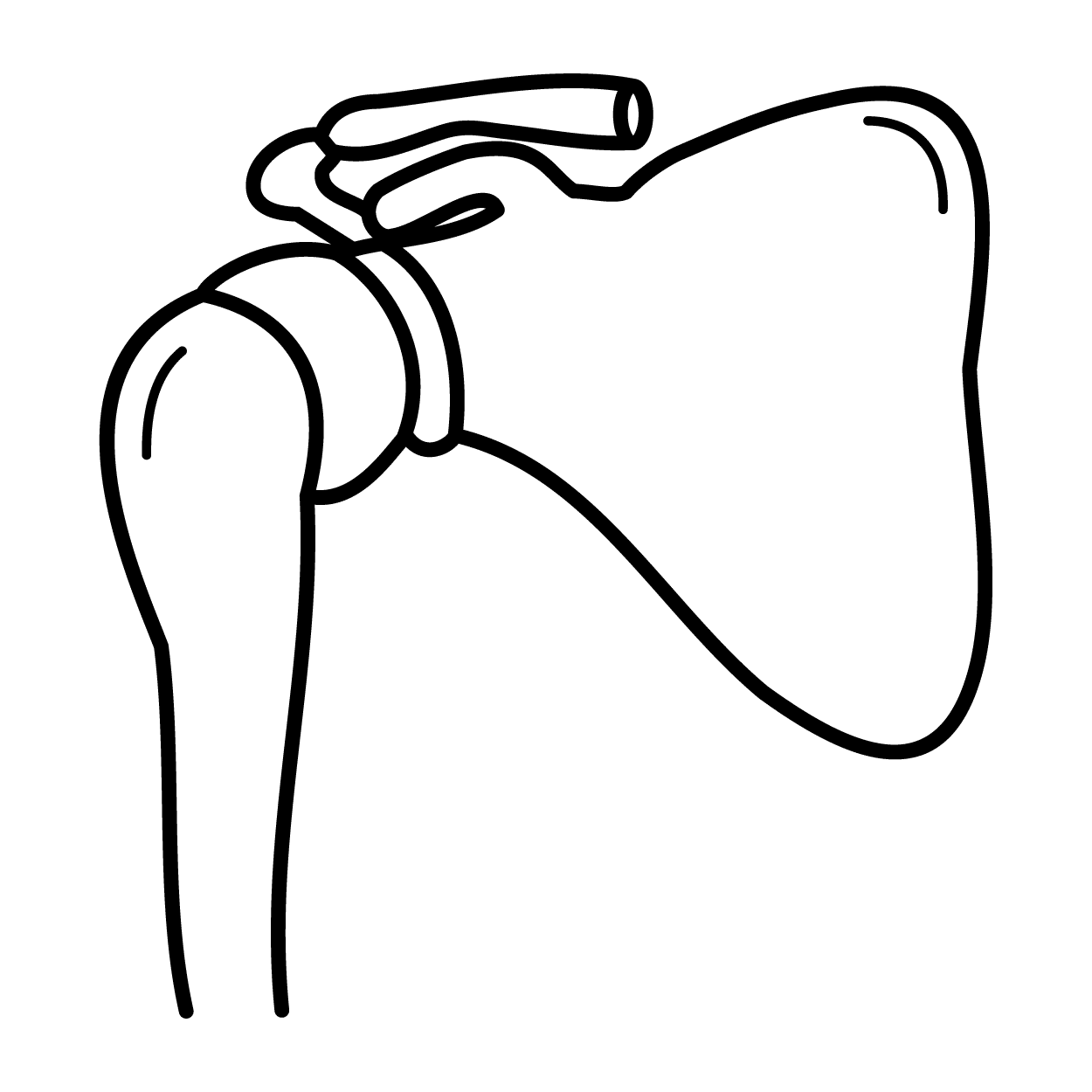 shoulder icon