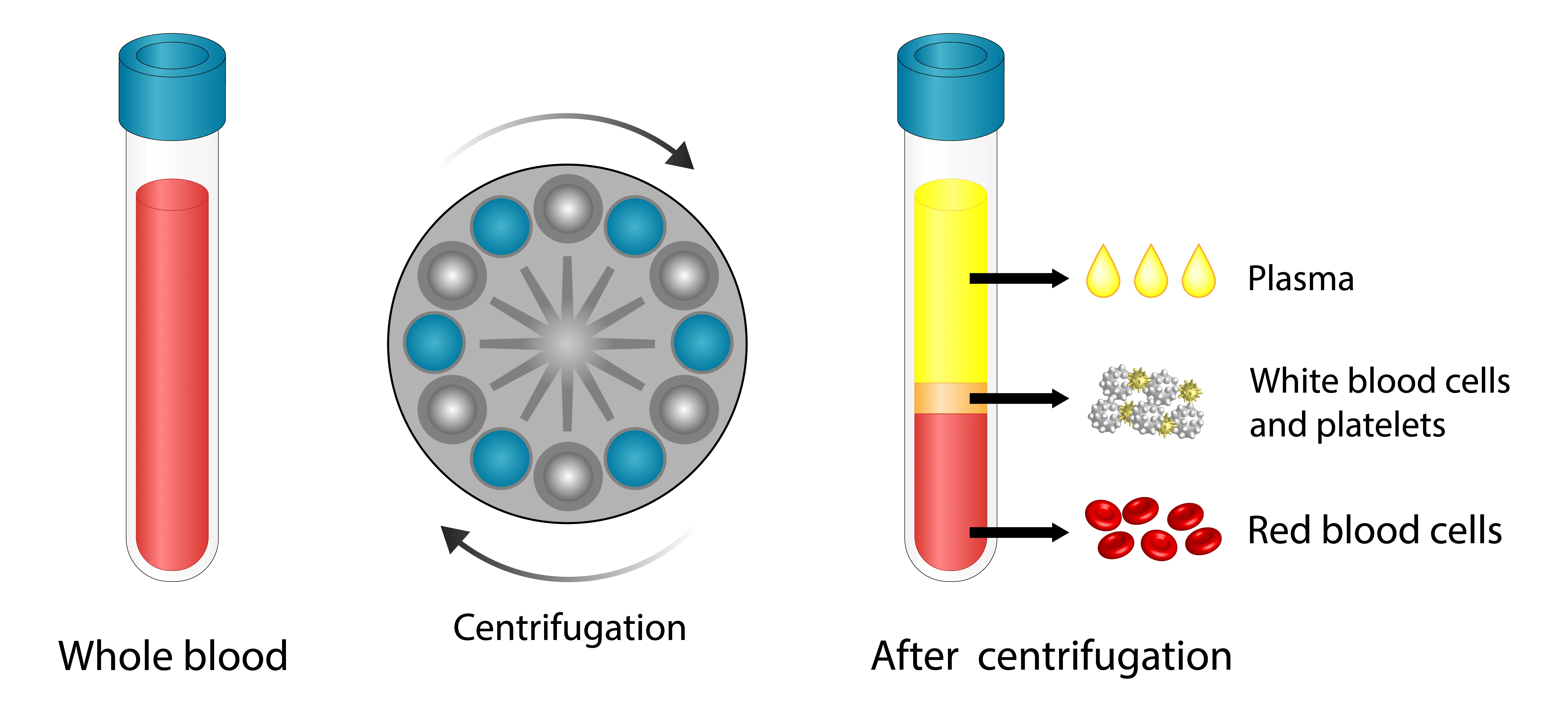 PRP Graphic