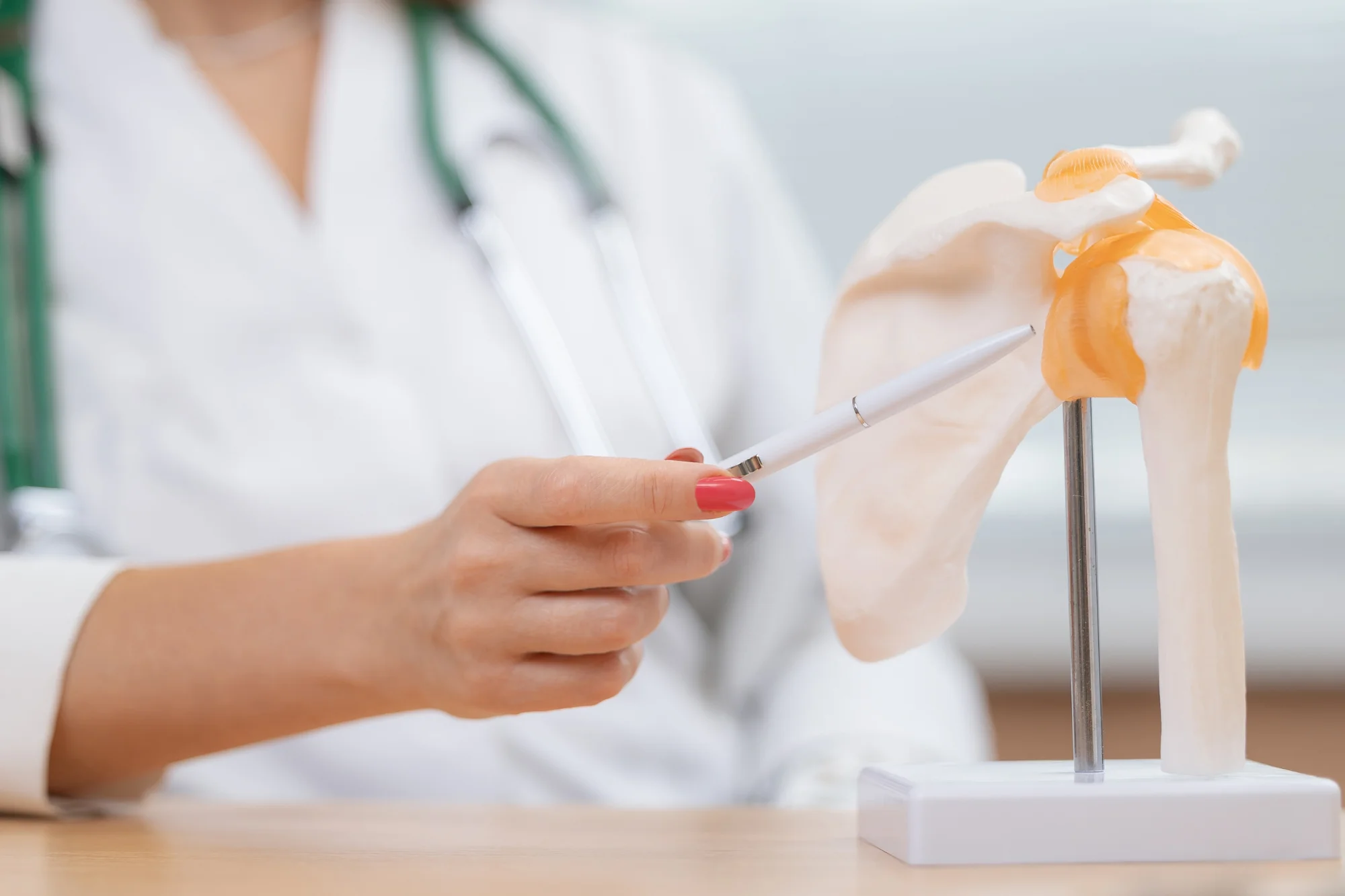 Doctor showing anatomy of shoulder